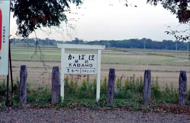 Tsukuba052.JPG